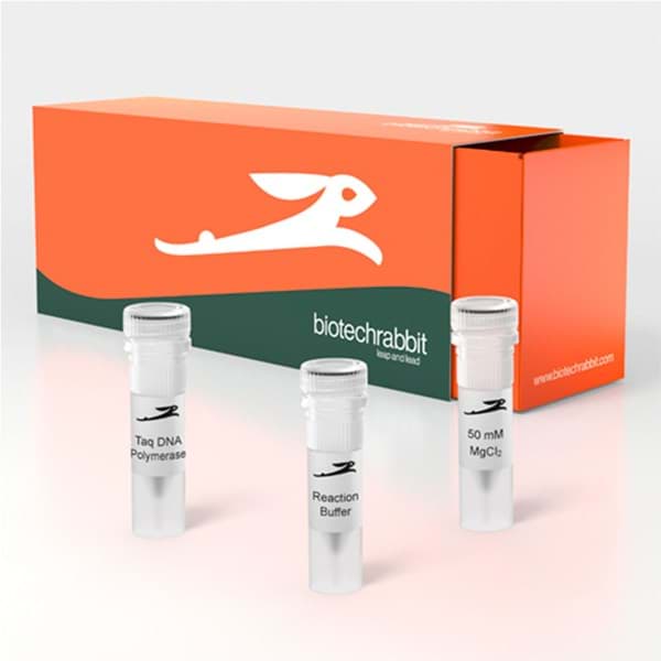 Taq Polymerase